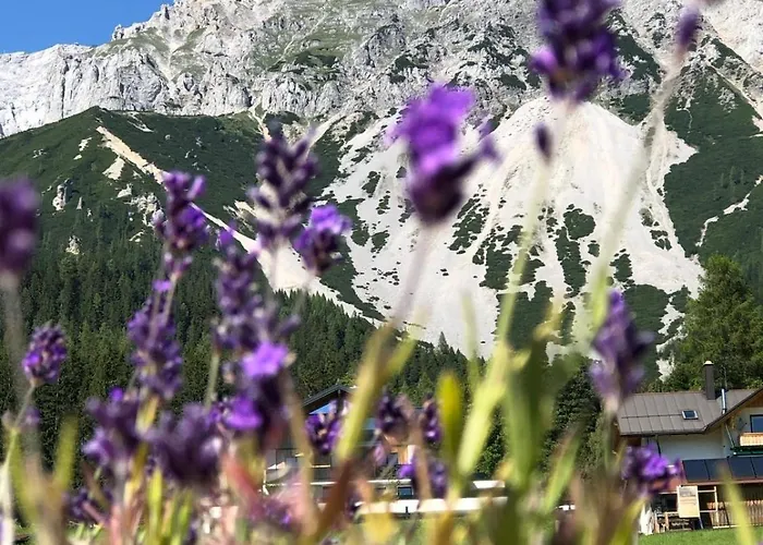 Affittacamere Club Ramsau am Dachstein